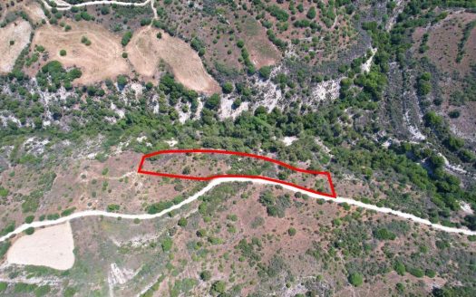 Field in Dora, Limassol