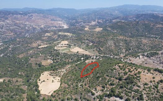 Field in Mousere, Paphos