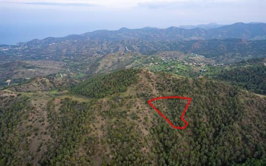 Agricultural field in Pano Pyrgos, Nicosia