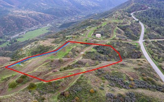 Shared agricultural field in Pano Pyrgos, Nicosia