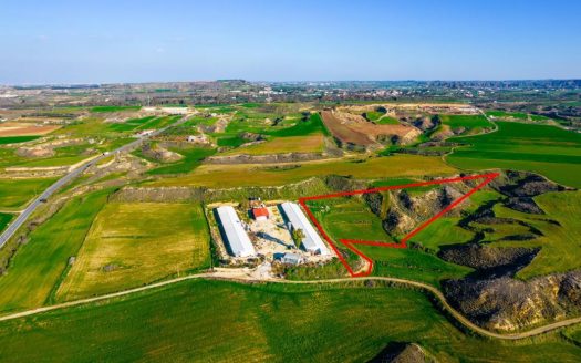 Agricultural field in Agios Ioannis, Nicosia