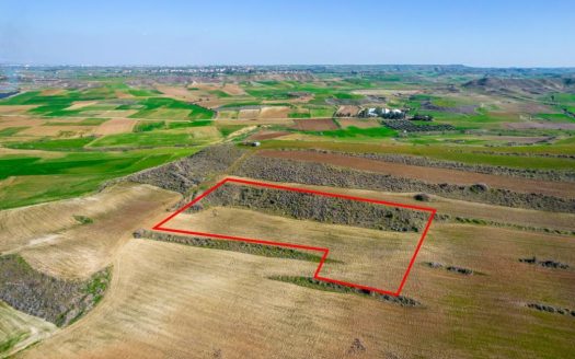 Field in Orounta, Nicosia