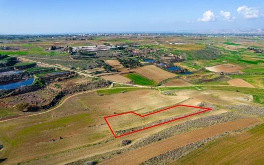 Field in Orounta, Nicosia