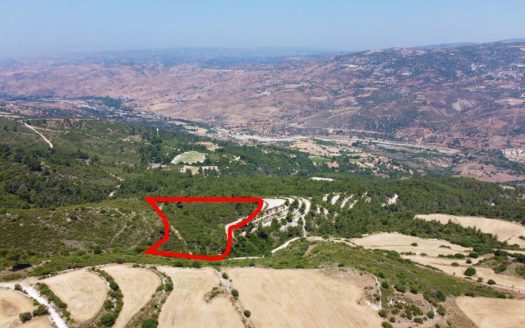 Field in Prastio, Paphos