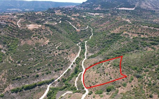 Field in Dora, Limassol