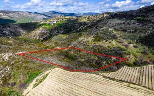 Field in Dora, Limassol