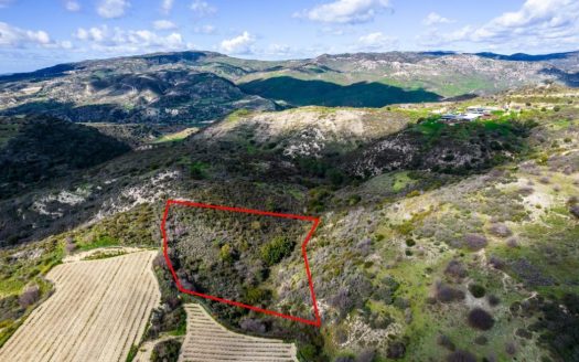 Field in Dora, Limassol