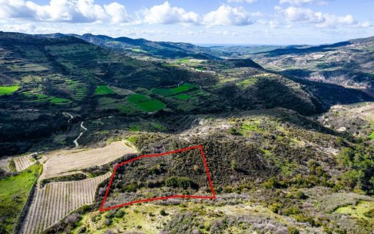 Field in Dora, Limassol