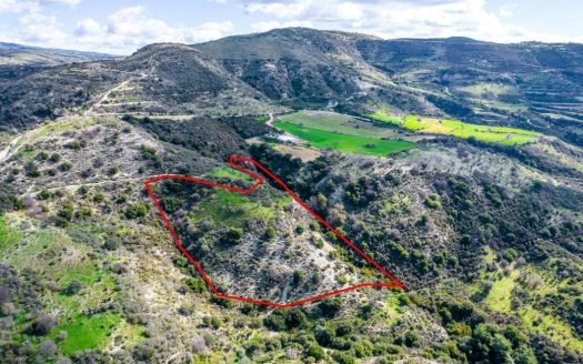 Field in Dora, Limassol