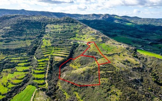 Fields in Dora, Limassol