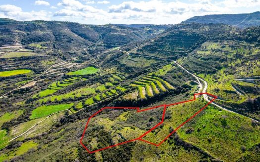 Fields in Dora, Limassol