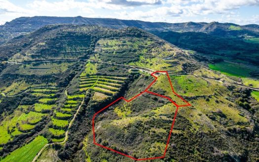 Fields in Dora, Limassol