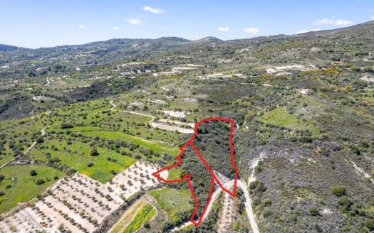 Shared agricultural fields in Arminou, Paphos