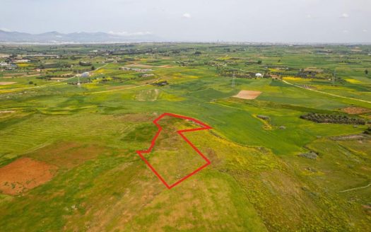 Agricultural field in Palaiometocho, Nicosia