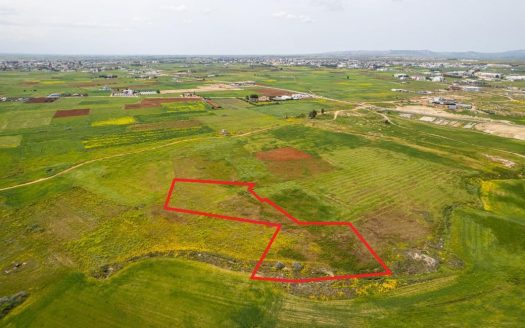 Agricultural field in Palaiometocho, Nicosia