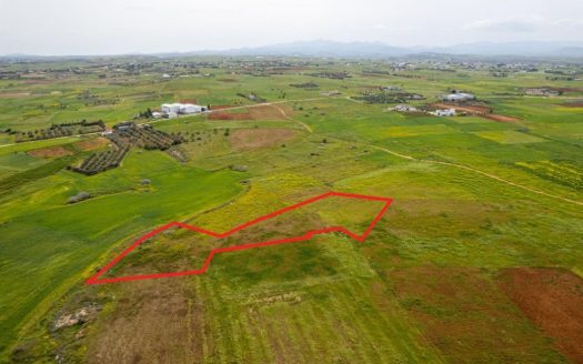 Agricultural field in Palaiometocho, Nicosia