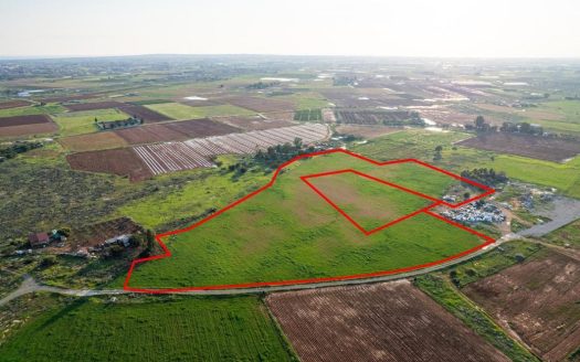 Shared agricultural fields in Frenaros, Famagusta