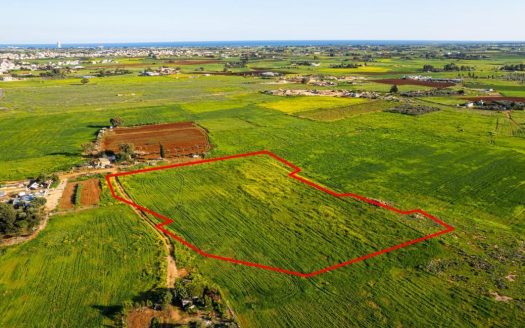 Shared agricultural field in Avgorou, Famagusta