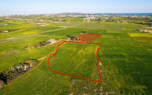 Shared agricultural field in Avgorou, Famagusta
