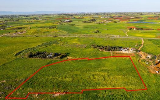 Shared agricultural field in Avgorou, Famagusta