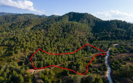 Agricultural field in Klirou, Nicosia