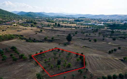 Residential field in Klirou, Nicosia