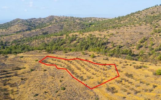 Field in Agia Marina Xyliatou, Nicosia