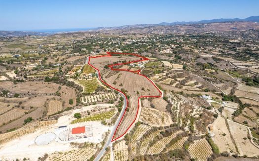 Shared field in Polemi, Paphos