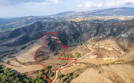 Shared agricultural field in Giolou, Paphos