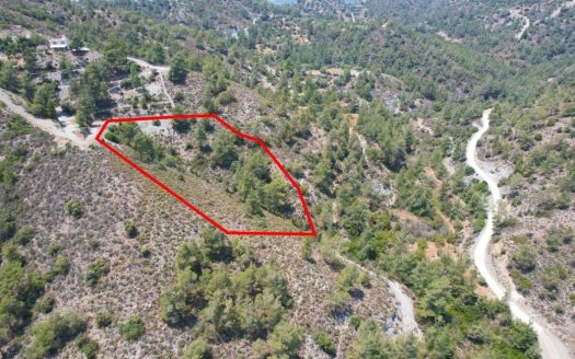 Agricultural field in Gerasa, Limassol