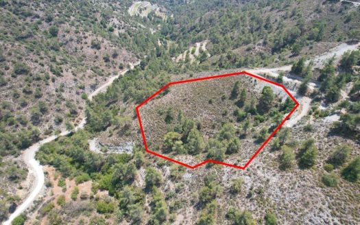 Agricultural field in Gerasa, Limassol