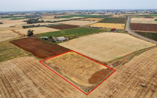Agricultural field in Avgorou, Famagusta