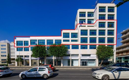Offices in Agioi Omologites, Nicosia