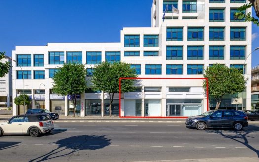 Office in Agioi Omologites, Nicosia