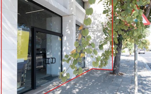 Office in Agioi Omologites, Nicosia