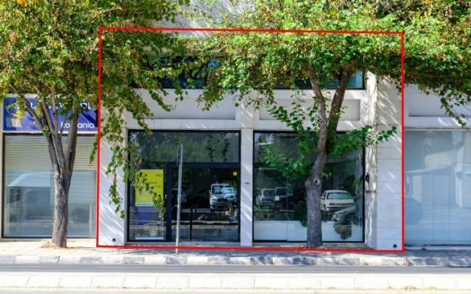 Office in Agioi Omologites, Nicosia