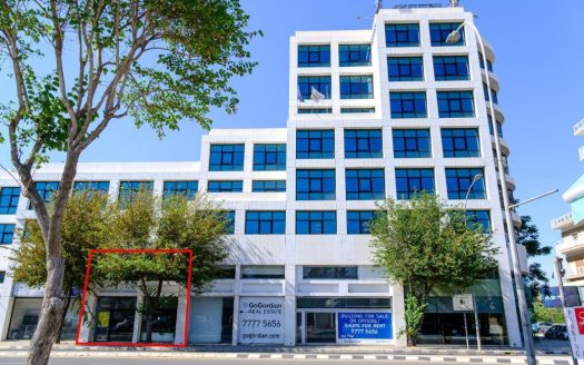 Office in Agioi Omologites, Nicosia