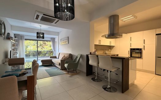 Limassol Property Two Bedroom Apartment in Tourist Area